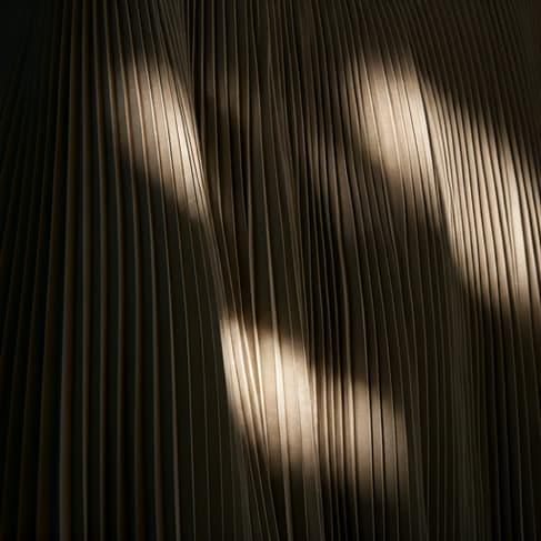 Fact card artwork for proto modesty